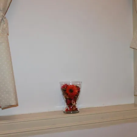 Sunshine Homes בית הארחה